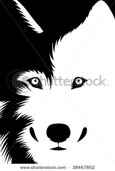 an image of a wolf's face in black and white on a computer screen