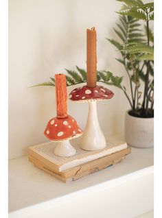 two candles sitting on top of a book next to a potted plant