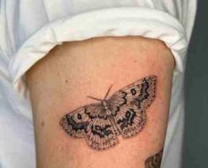 a small butterfly tattoo on the arm