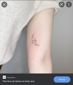 a small cat tattoo on the left inner arm, and an outline of a cat