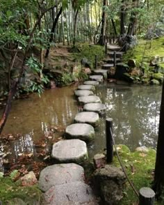 stepping stones in the middle of a stream