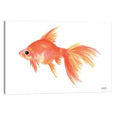 a watercolor painting of a goldfish on a white background, framed in a white frame