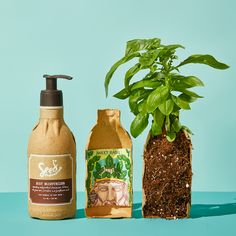 three different types of hand soaps next to each other on a blue surface with a green plant in the middle