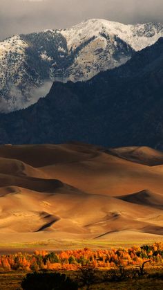 the mountains are covered in snow and brown grass