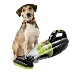 a dog sitting next to a green and black vacuum