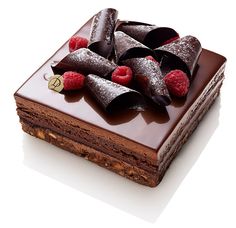 a piece of chocolate cake with raspberries on top