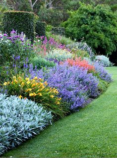 the garden is full of colorful flowers and plants