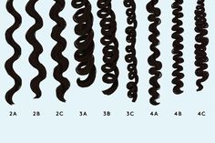 curl-types 3b Hair Type, 3c Hair Type, Hair Type Chart, Hair Plopping, Different Types Of Curls