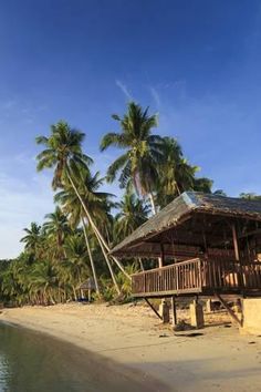 a hut on the shore of a tropical beach with palm trees in the foreground