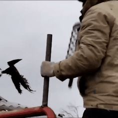 a man holding a pole with birds flying around it