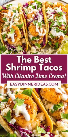 the best shrimp tacos with cilantro lime cream