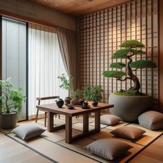 a bonsai tree sits in the middle of a room with pillows on the floor