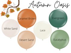 balloons that say autumn oasis, white sand, desert sand, eucalyptus and evergreen