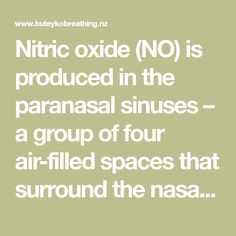 Paranasal Sinuses, Group Of Four, Nasal Cavity, Respiratory Illness, Respiratory Infection, Wax Strips, Nitric Oxide, Get Educated