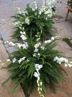 some white flowers and green leaves on the ground