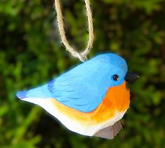 a blue and orange bird hanging from a rope