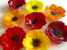 there are many different colors of flowers on the table together, including red, yellow and orange