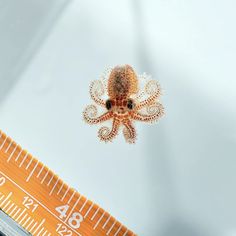 an orange and white octopus sitting on top of a ruler