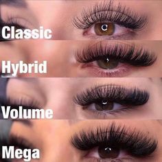 Natural Fake Eyelashes, Lash Maps, Lash Ideas, Lashes Fake Eyelashes, Russian Volume Lashes, Eyelash Tips, Eyelash Technician, Lash Styles, Cat Eye Lash