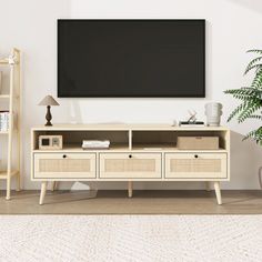 a living room with an entertainment center and potted plant on the side table in front of it