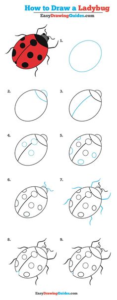 how to draw a ladybug step by step instructions for kids and beginners