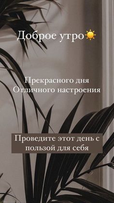 an advertisement for a houseplant company in russian