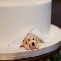 a cake with a dog sticking its tongue out