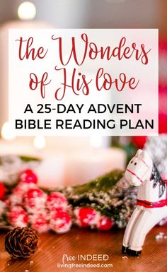 the wonders of his love bible reading plan