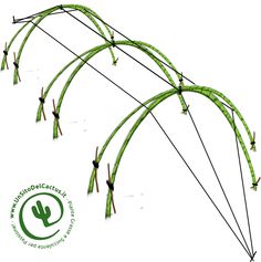 several green plants with long stems attached to each other on a white background, in the shape of an arrow