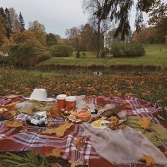 a picnic blanket on the ground with food and drinks laid out in front of it