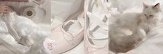 a white cat laying on top of a bed next to a pair of ballet shoes