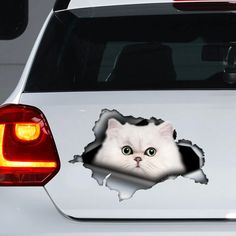 a white cat peeking out of a hole in the side of a car sticker