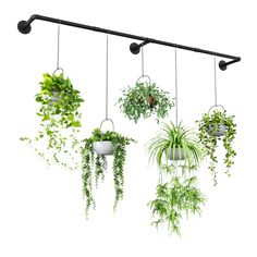 hanging planters with plants in them on a white background