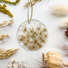 dried flowers and plants are arranged on a white surface with a circular glass ornament