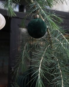 a pine tree with ornaments hanging from it's branches