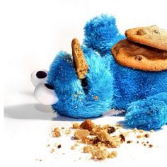 a blue teddy bear with a cookie on its back