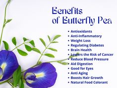 the benefits of butterfly pea are shown in this image, with blue flowers and green leaves