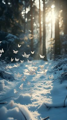 the sun shines through the trees and butterflies are flying over the snow - covered ground