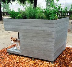 a dog is sitting in a wooden planter