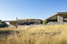 the house is surrounded by tall grass and has a roof that looks like it's made out of concrete