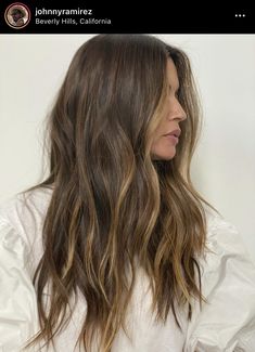 Light Brown Partial Balayage, Mini Partial Highlights, Classic Brunette Hair, Balayage For Medium Brown Hair, Soft Balayage Brunette, Highlights On Medium Brown Hair, Soft Autumn Hair Color, Subtle Brunette Balayage, Fall Brunette Hair