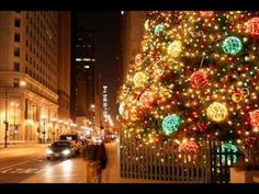 a large christmas tree is lit up in the city