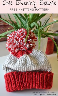 a red and white knitted hat sitting on top of a table next to a potted plant