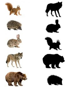 different types of animals and their silhouettes