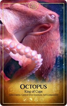 an octopus with its mouth open and the words octopus king of cups written below it