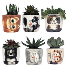 there are four pots with cats painted on them and one has succulents in it