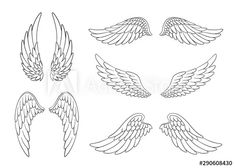 six different angel wings on a white background