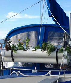 a boat with plants growing out of it's windows and on the front deck