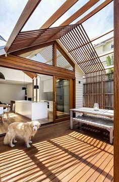 a dog standing on a wooden deck next to a table and chairs in the sun