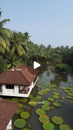 the house is surrounded by water lilies and palm trees